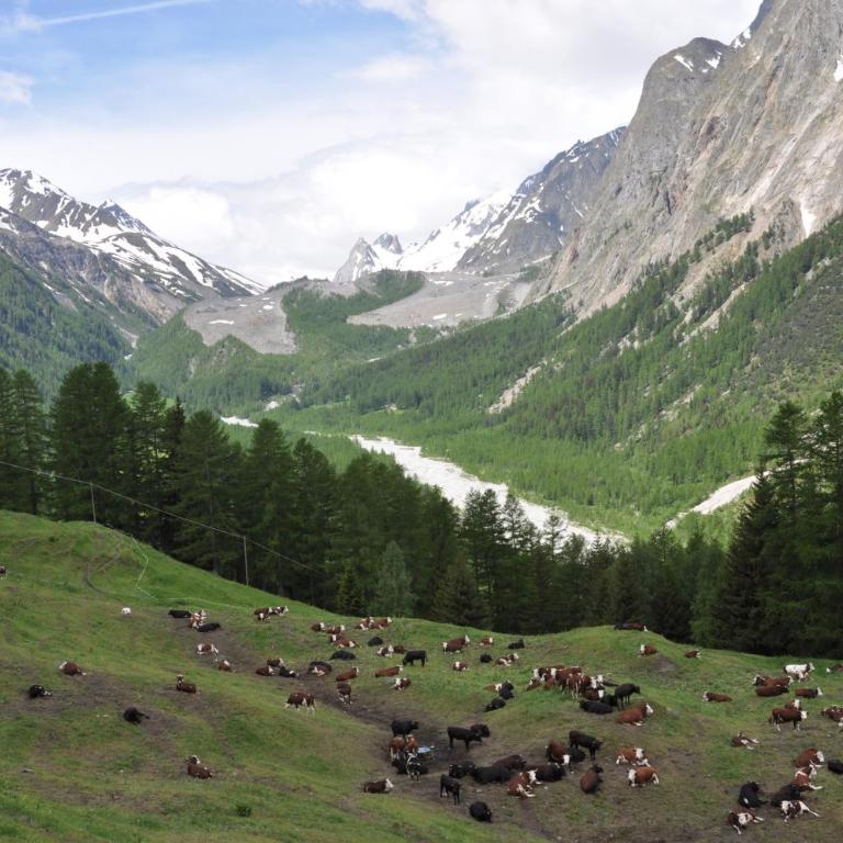 We are 4810 Chalet aux pieds du Mont-Blanc Mansarda - Appartement 2 Chambres - 8