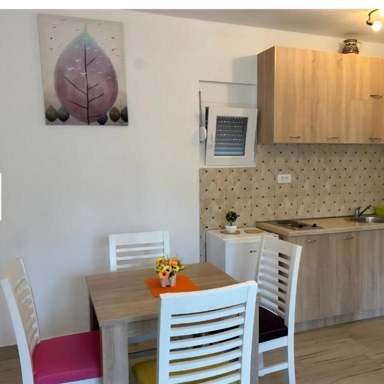 Apartmani Lucija Sutomore - Apartman sa 1 Spavaćom Sobom - 8