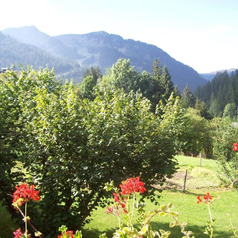 Appartement cosy 3 pièces, 4 pers, balcons, proche centre et télécabines à Châtel - FR-1-676-65 - Appartement - 15