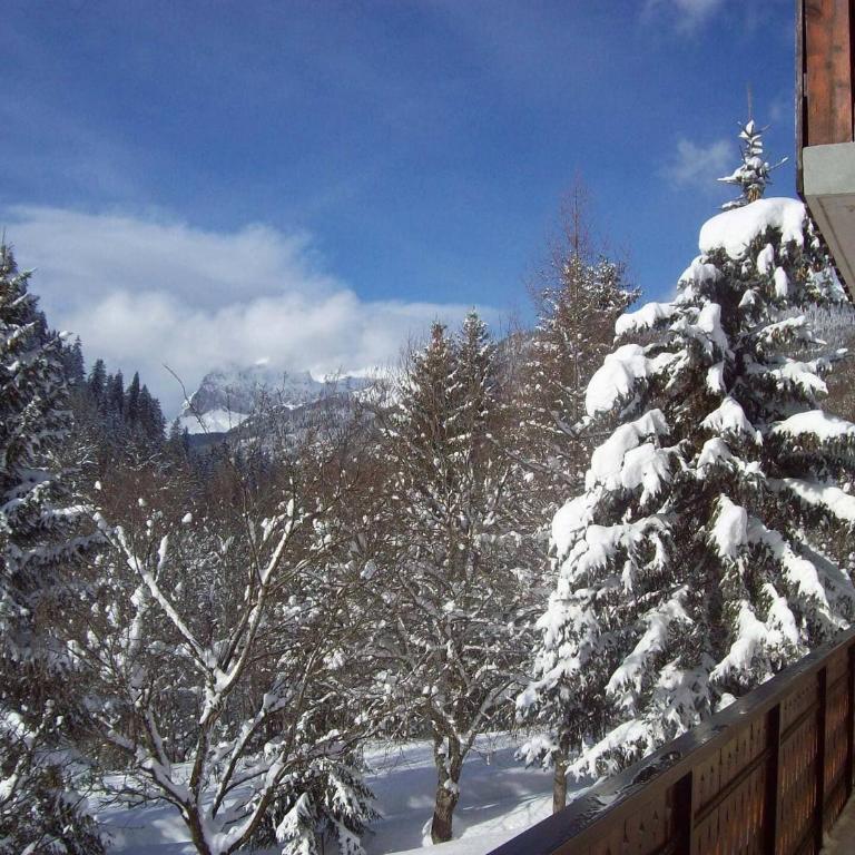 Appartement cosy 3 pièces, 4 pers, balcons, proche centre et télécabines à Châtel - FR-1-676-65 - Appartement - 17