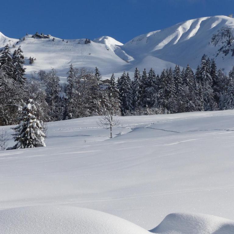 Gîte 4 étoiles avec cheminée, animaux bienvenus, parking privé - Le Grand-Bornand - FR-1-467-100 - Apartment (10 Erwachsene) - 22