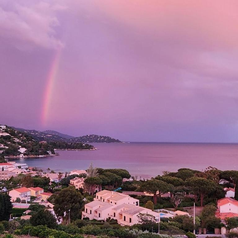 Le Lavandou T2 4 pers, terrasse vue mer - FR-1-803-36 - Apartamento - 10