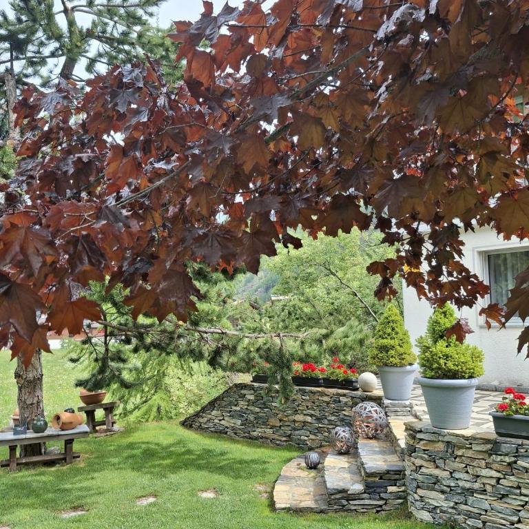 Aquarell Apartments - Apartment mit Gartenblick - 5