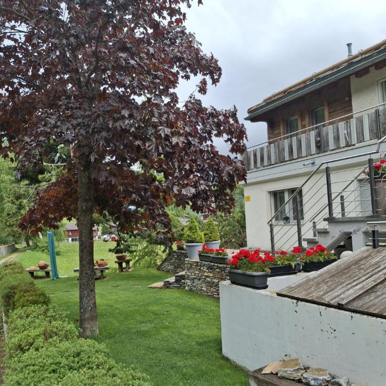 Aquarell Apartments - Apartment mit Gartenblick - 6