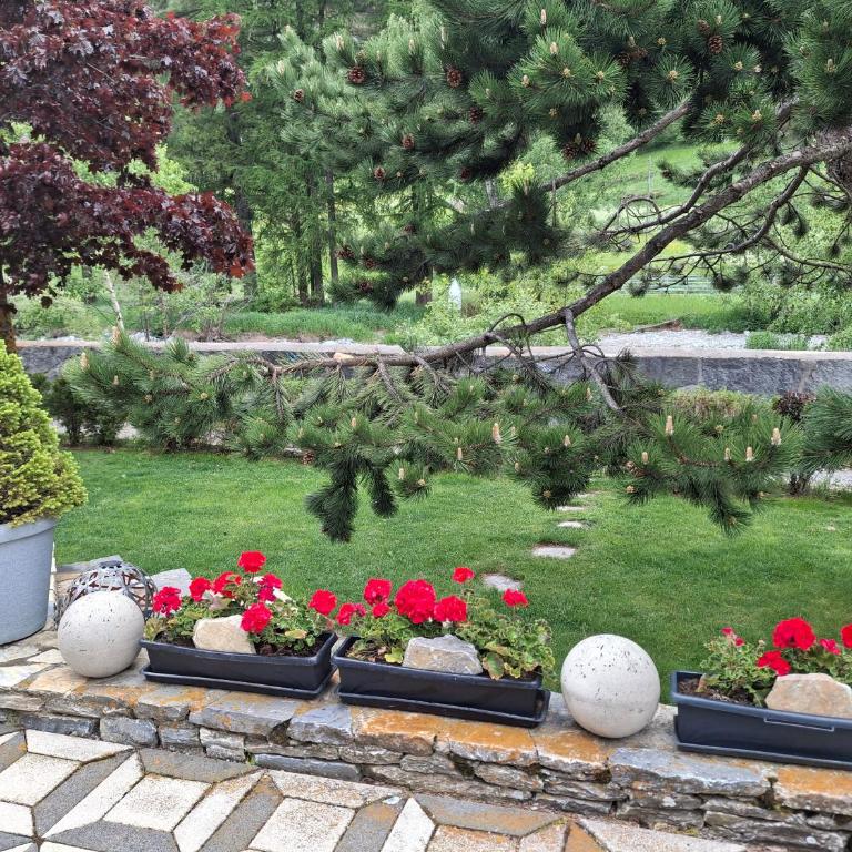 Aquarell Apartments - Apartment mit Gartenblick - 13