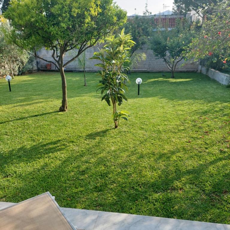 Appartamento a Mondello - Appartamento Standard con 2 Camere da Letto - 2