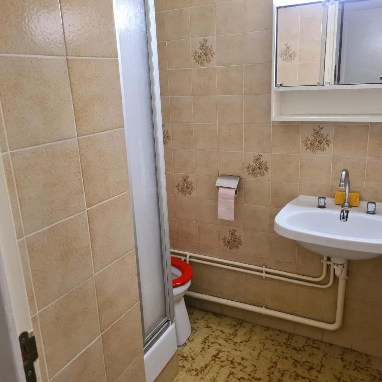 L' Éclat des Sommets en face et aux pieds des pistes - Appartamento con 1 Camera da Letto, Balcone e Vista Montagna - 11