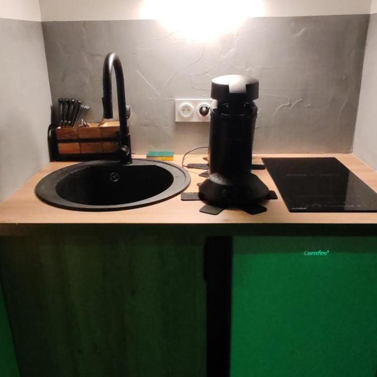 Jungle Room - Sauna, Jacuzzi, Cinéma - Hyper Centre - Appartement Supérieur avec Sauna - 23
