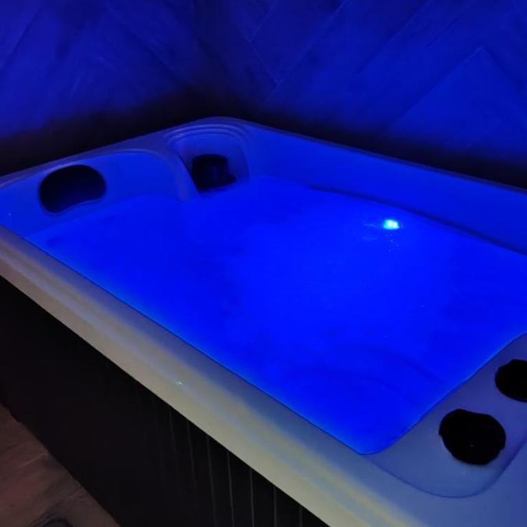 Jungle Room - Sauna, Jacuzzi, Cinéma - Hyper Centre - Appartement Supérieur avec Sauna - 11