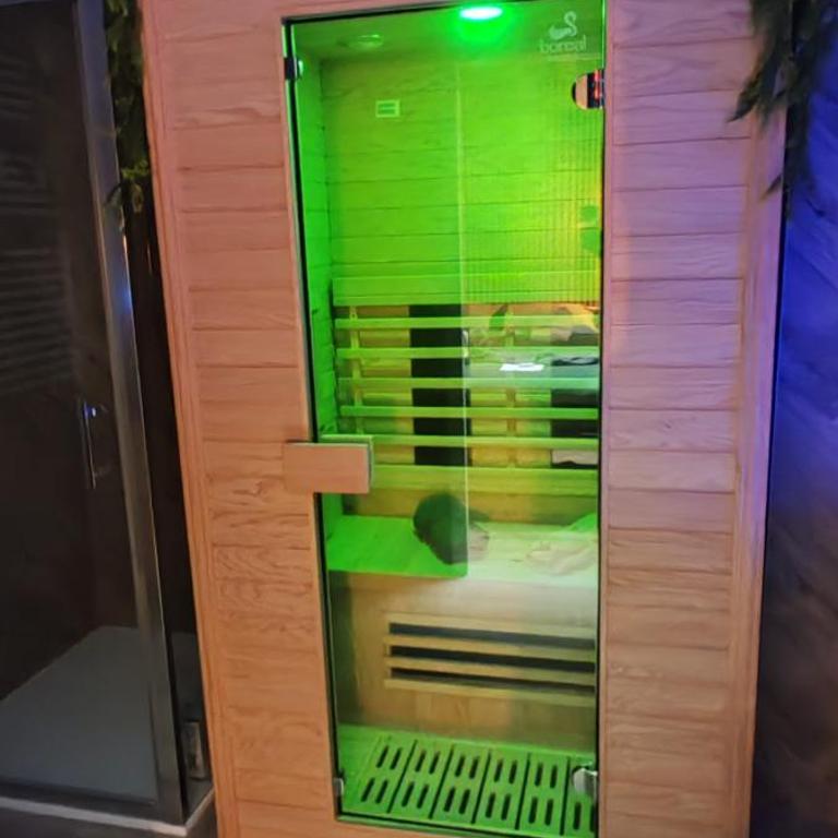 Jungle Room - Sauna, Jacuzzi, Cinéma - Hyper Centre - Appartement Supérieur avec Sauna - 33