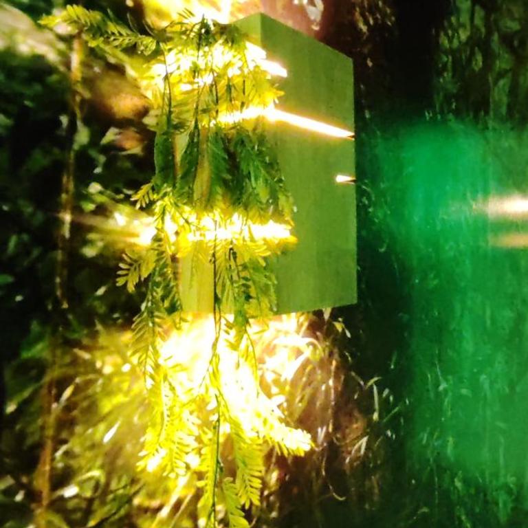 Jungle Room - Sauna, Jacuzzi, Cinéma - Hyper Centre - Appartement Supérieur avec Sauna - 14