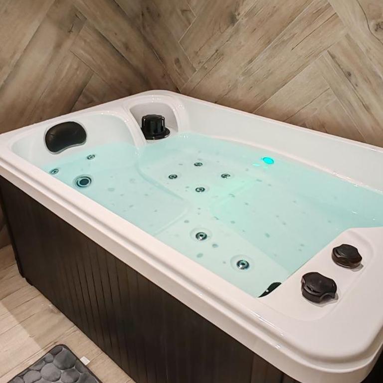 Jungle Room - Sauna, Jacuzzi, Cinéma - Hyper Centre - Appartement Supérieur avec Sauna - 24