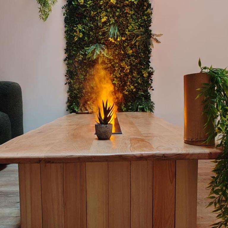 Jungle Room - Sauna, Jacuzzi, Cinéma - Hyper Centre - Appartement Supérieur avec Sauna - 22