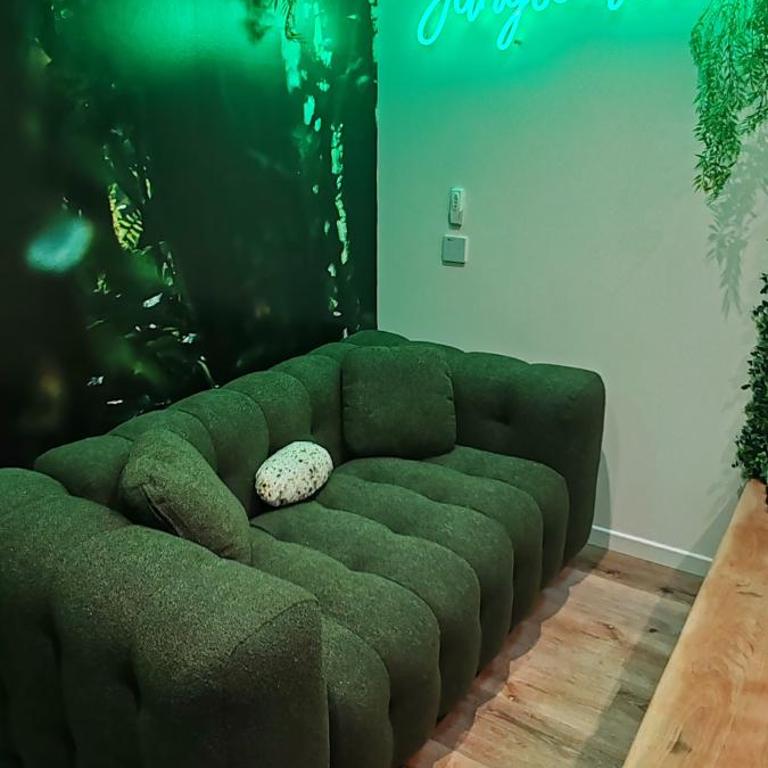 Jungle Room - Sauna, Jacuzzi, Cinéma - Hyper Centre - Appartement Supérieur avec Sauna - 28