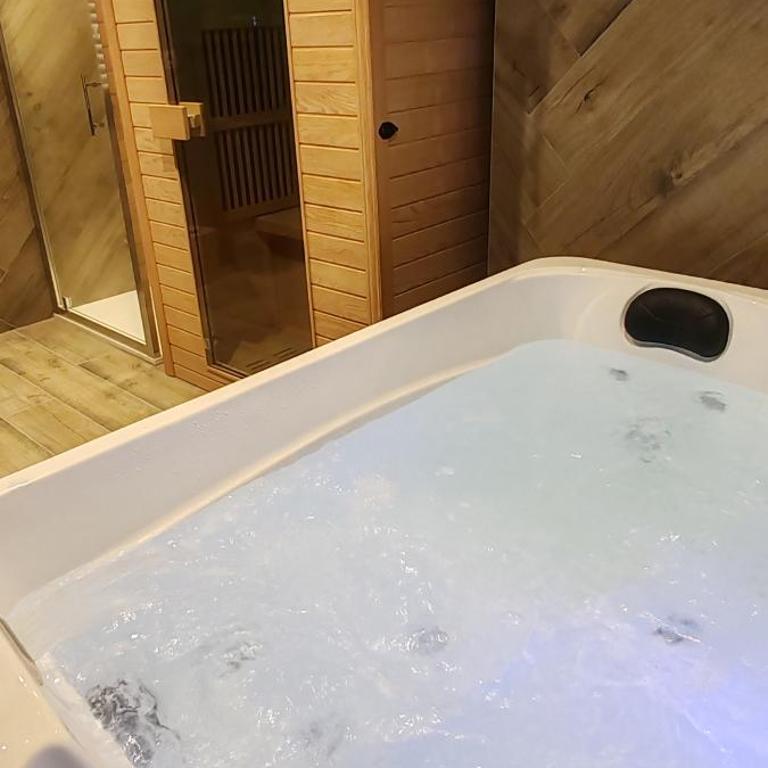 Jungle Room - Sauna, Jacuzzi, Cinéma - Hyper Centre - Appartement Supérieur avec Sauna - 42