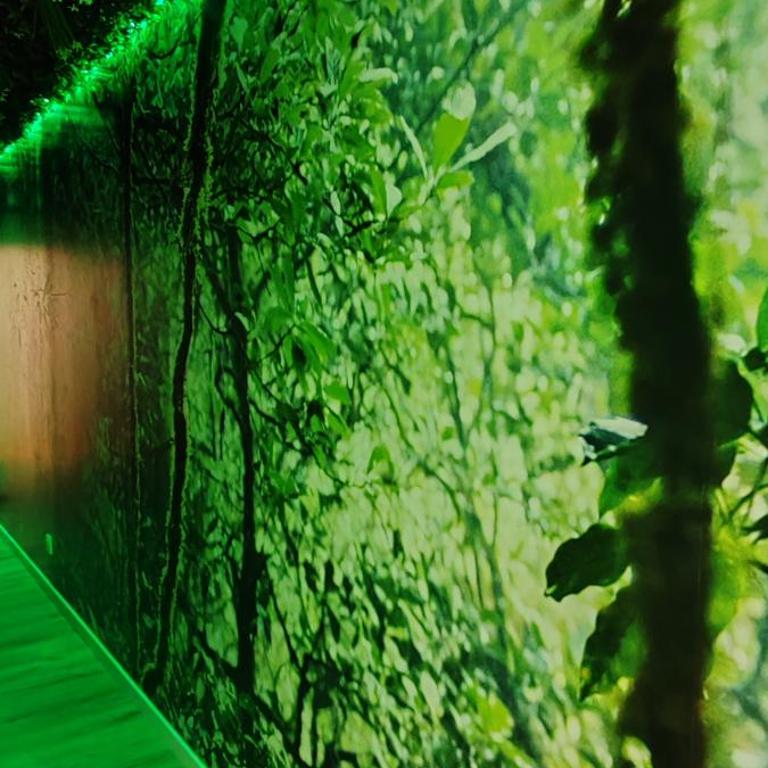 Jungle Room - Sauna, Jacuzzi, Cinéma - Hyper Centre - Appartement Supérieur avec Sauna - 34