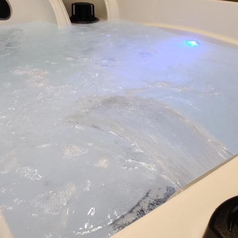 Jungle Room - Sauna, Jacuzzi, Cinéma - Hyper Centre - Appartement Supérieur avec Sauna - 39