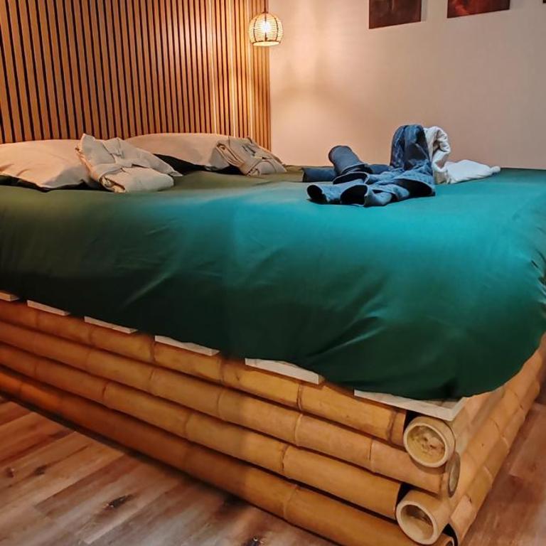Jungle Room - Sauna, Jacuzzi, Cinéma - Hyper Centre - Appartement Supérieur avec Sauna - 26