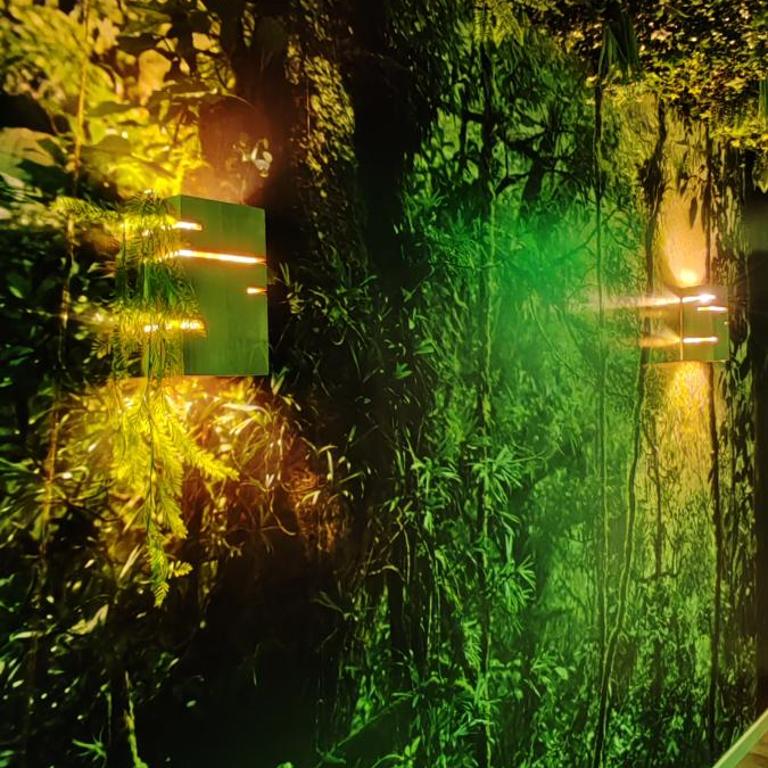 Jungle Room - Sauna, Jacuzzi, Cinéma - Hyper Centre - Appartement Supérieur avec Sauna - 31