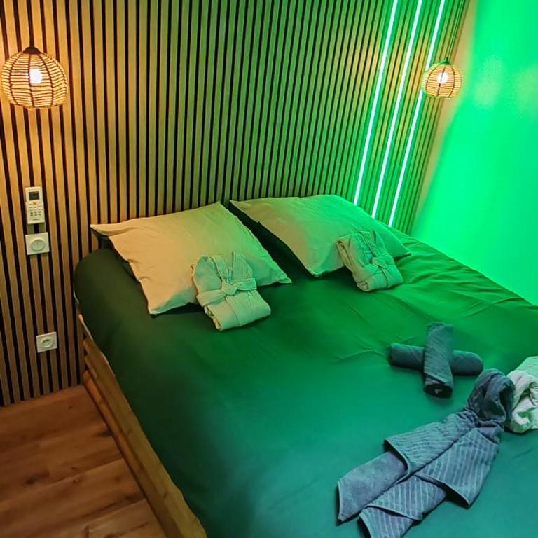 Jungle Room - Sauna, Jacuzzi, Cinéma - Hyper Centre - Appartement Supérieur avec Sauna - 15
