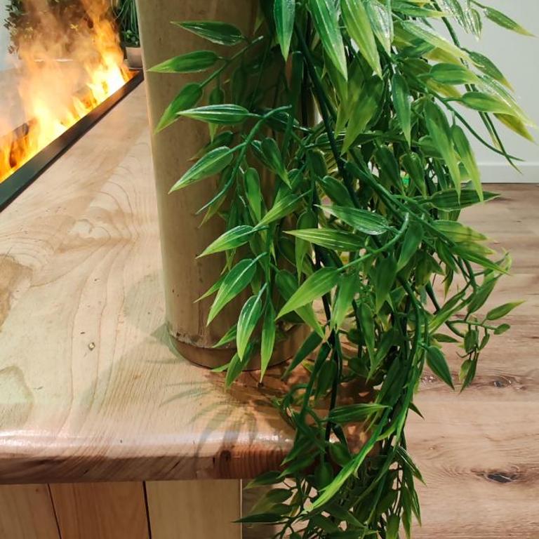 Jungle Room - Sauna, Jacuzzi, Cinéma - Hyper Centre - Appartement Supérieur avec Sauna - 35