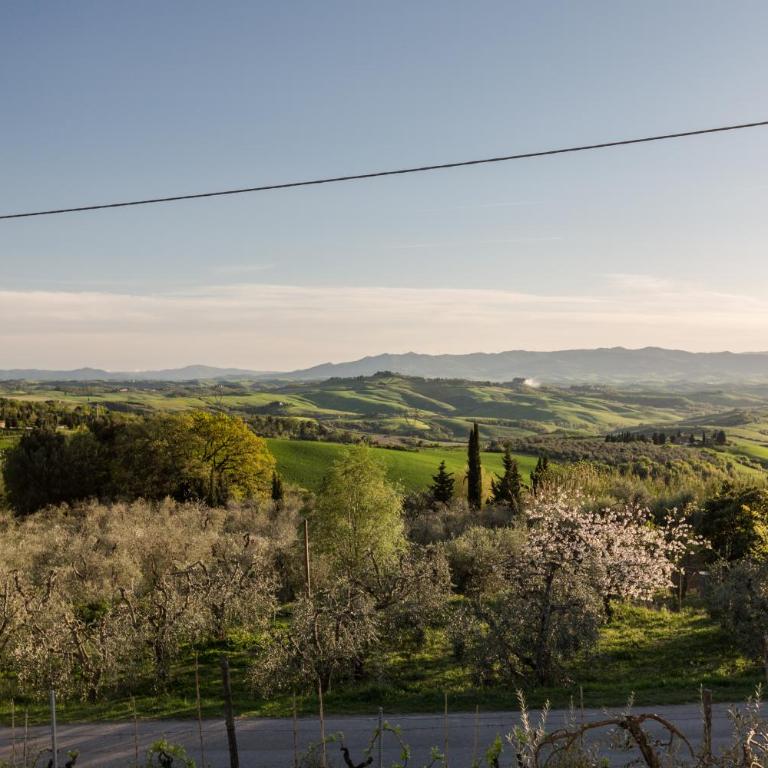 La Sassolina - Casa Vacanze - 34