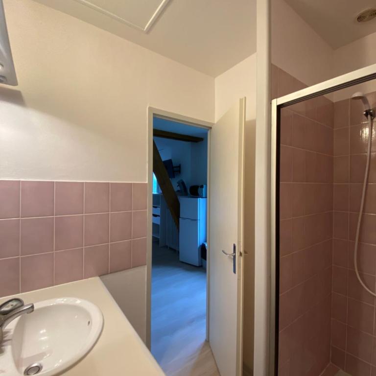 Appart Le Chili- Quartier thermal- Parc remarquable - Studio (2 Adultes) - 13