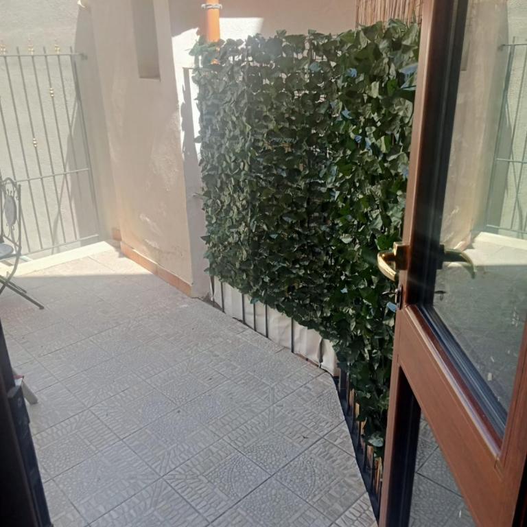 Casa del dottore - Appartamento - Piano Terra - 12