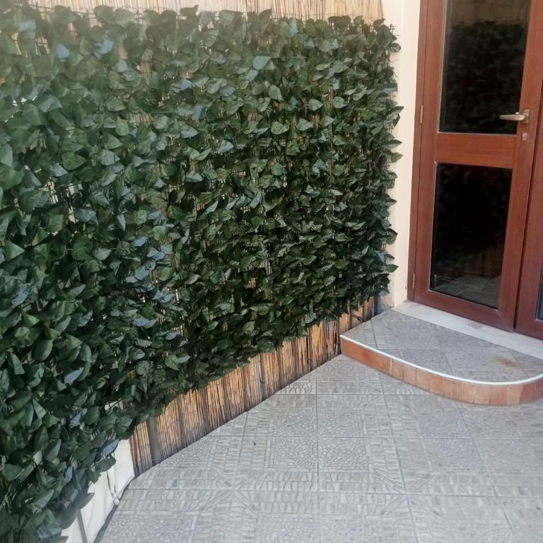 Casa del dottore - Appartamento - Piano Terra - 16