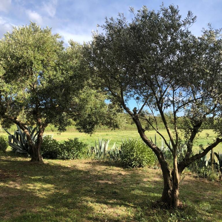 Proche mer loft de rêve dans Chai du XIX - Villa con Piscina Privata - 5