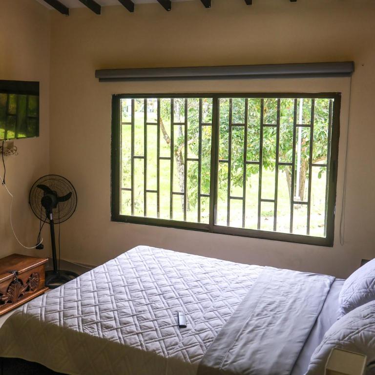 Quimbaya Campestre Hotel - Suite - 1
