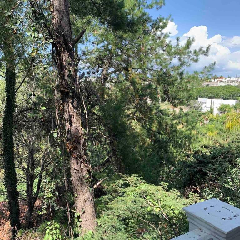 Loft con vista al lago - One-Bedroom Apartment with Lake View - 6