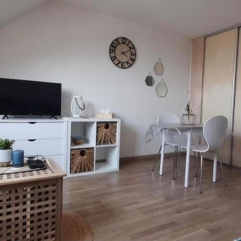 Studio à 50 Mètres de la plage avec wifi - One-Bedroom Apartment - 1