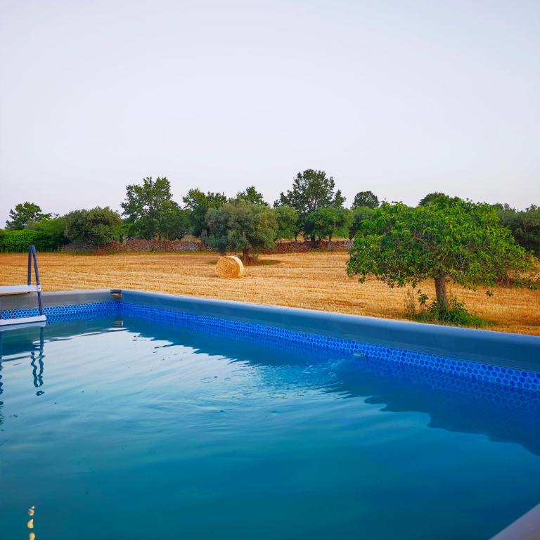 Il Trullo nel bosco - Villa con 3 Camere da Letto - 1