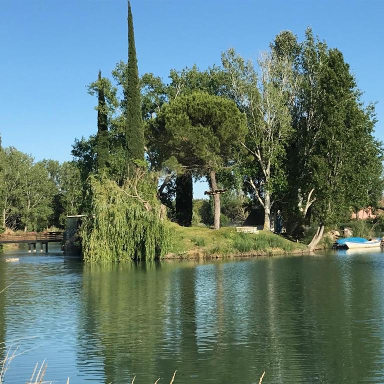 studio cocooning Camargue - Appartement 1 Chambre - 6