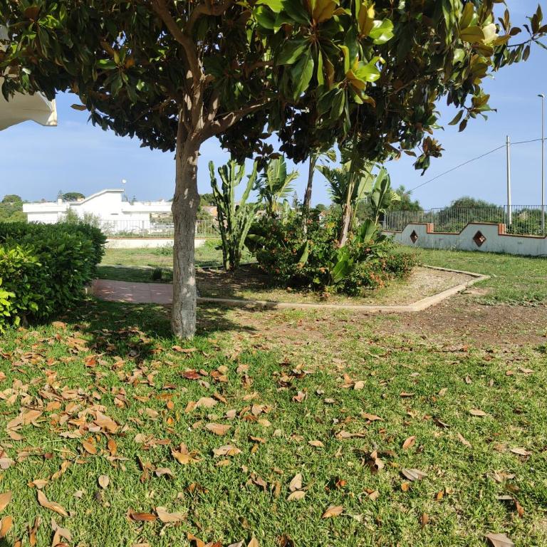 Appartamenti in Villa Polimnia - Casa con 3 Camere da Letto - 8