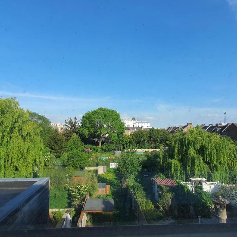 Le Reflet des Hortillons - Appartement 1 Chambre - 9