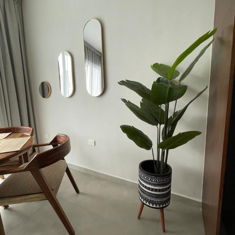 Arena walking distance from the beach - One-Bedroom Apartment - 23