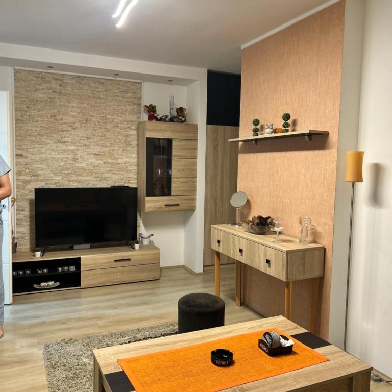 Stan na dan Niš, centar - Pravni fakultet - Apartman sa 2 Spavaće Sobe - 5