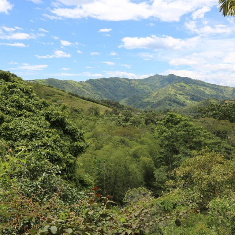 FINCA SAN JAVIER GREAT FARM WITH HORSES AND POOl - Villa de 1 dormitorio - 1