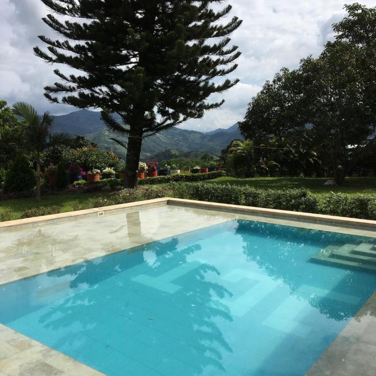 FINCA SAN JAVIER GREAT FARM WITH HORSES AND POOl - Villa de 1 dormitorio - 18