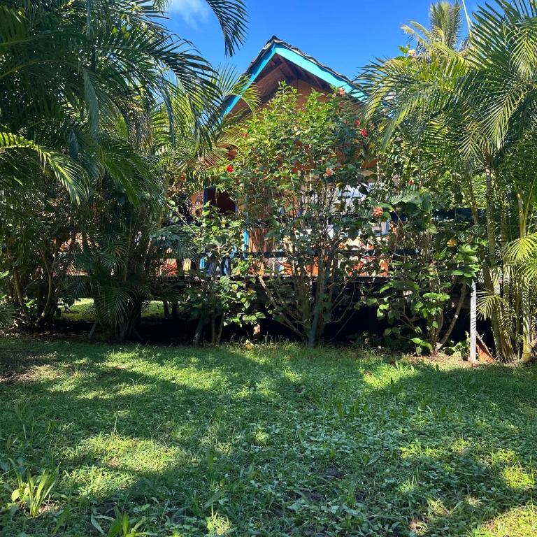 Hare Village - Apartamento de 1 dormitorio - 19