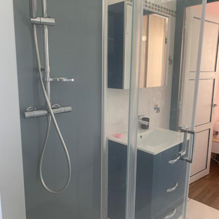 Logement proche gare , tram direct circuit - Apartment mit 1 Schlafzimmer - 14