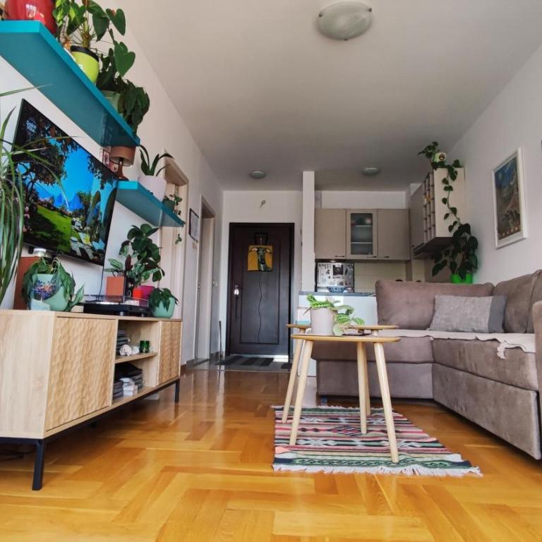 Sila Budva - Cozy Flat with Sea View, Free Parking, Pet Friendly - Apartman sa 1 Spavaćom Sobom - 8