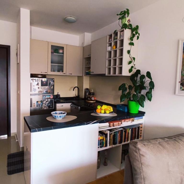 Sila Budva - Cozy Flat with Sea View, Free Parking, Pet Friendly - Apartman sa 1 Spavaćom Sobom - 13