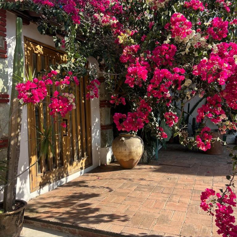 2 bedrooms Former Tannery Jalatlaco Neighborhood - Casa de 2 dormitorios - 9