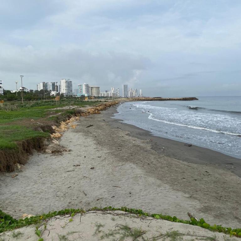 New Apto Beach Front & Close to Airport - Apartamento de 1 dormitorio - 38