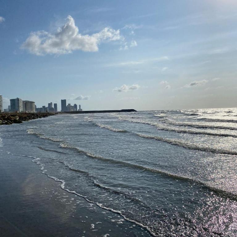 New Apto Beach Front & Close to Airport - Apartamento de 1 dormitorio - 47