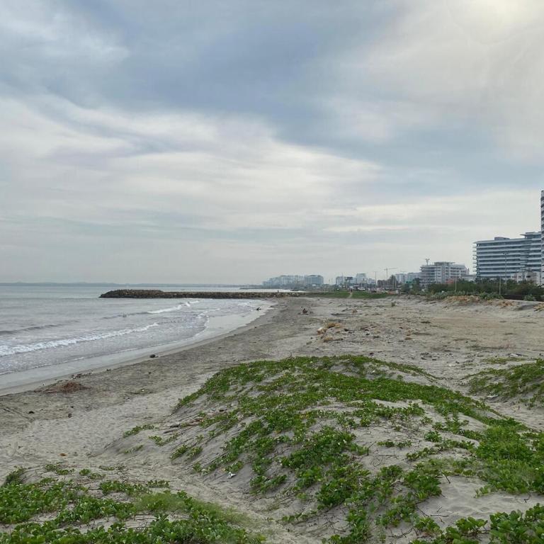 New Apto Beach Front & Close to Airport - Apartamento de 1 dormitorio - 53