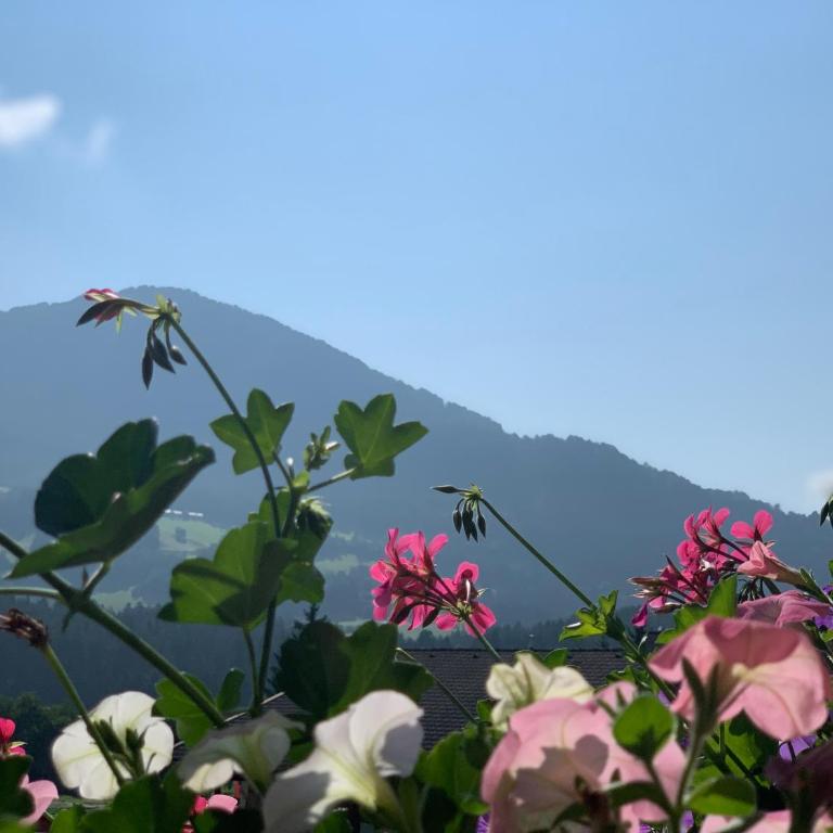 Dorfjuwel Alpbachtal - Apartment mit 1 Schlafzimmer - 16